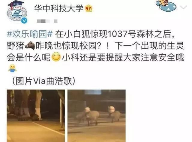  『大学校园』高校“神兽”出没,快来看看有没有你们学校
