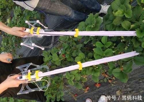 草莓：太有才南充5名大学生发明“神器”，央视用50分钟介绍