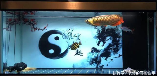 『摄影丨』鱼缸四大神兽之:有没有必要买猪鼻龟
