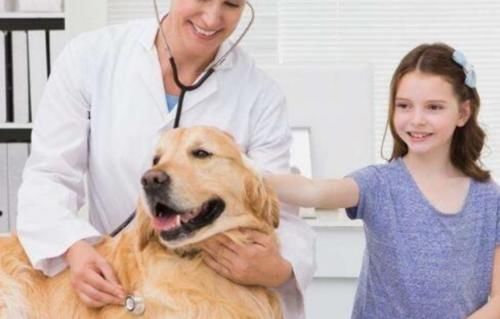  取消：2020年起，这几类职业将取消编制相继转为“合同工”，“