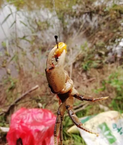  解决@钓鱼遇到“阴漂”就头痛？找到阴漂的原因后，解决起来并不难