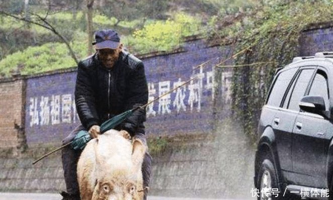  「疑惑」村村通变成“村村通”，农民疑惑为什么不能加宽1米是缺