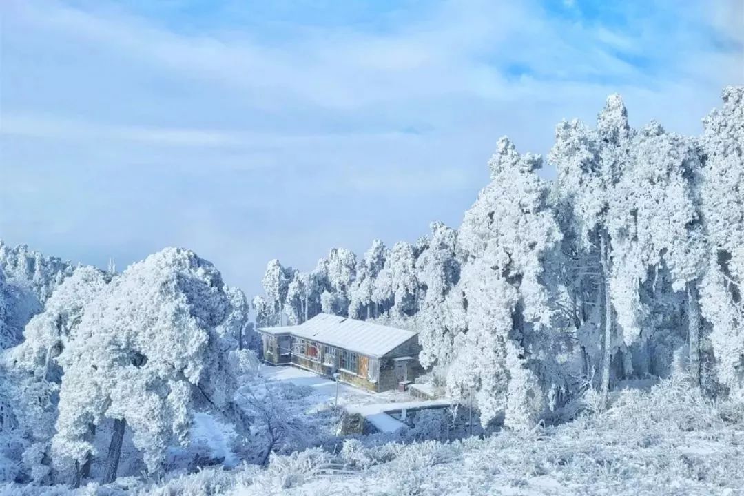 冬天没看过雪，就等于白过了！