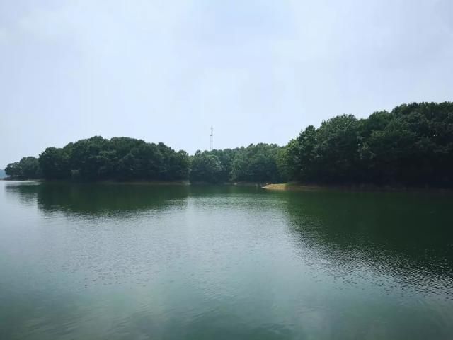 河南这个湖要火!游客纷纷来吃鱼!景色绝美,竟不输千岛湖!