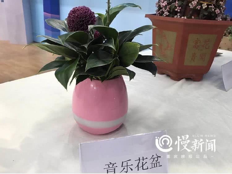  [男人]靠“花”起家的男人