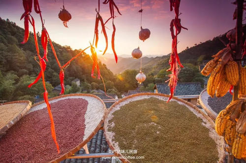 比宏村人少，比篁岭更美！浙江周边藏着一座隐世小村落，拥有最撩