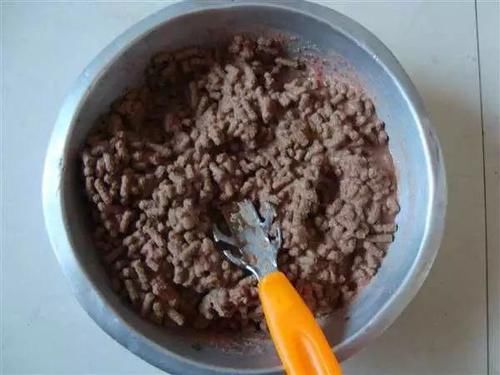  『鲤鱼』这条31斤的鲤鱼，他用的是什么饵料钓上来的