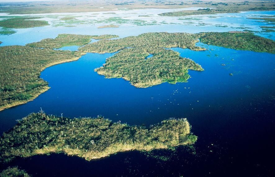 世界上最大的湿地，每年以2.3%的速度消失，45年后或将消失
