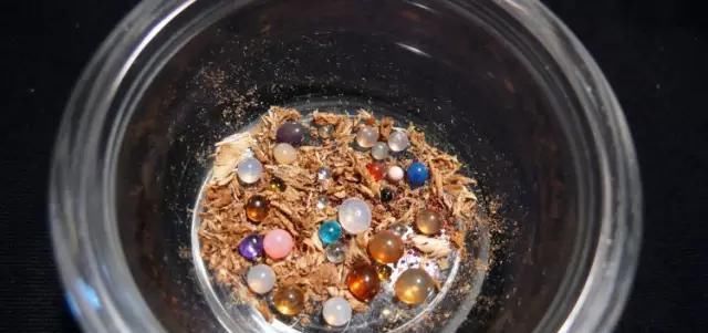  「释迦牟尼」释迦牟尼佛，真身舍利！瞻礼者，获福无量