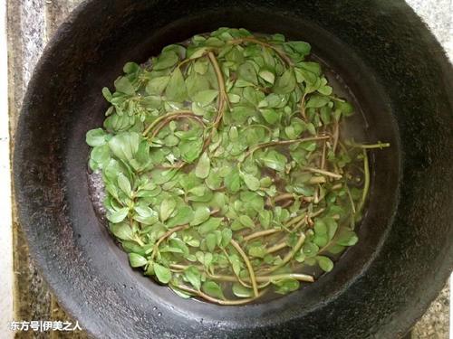 道路两边不起眼的它，睡前加啤酒，半月清零斑点，皮肤光鲜净白