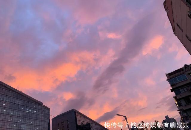 平均气温大于22℃:昨天,上海因为它登上热搜!美到窒息……