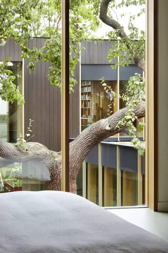 我的屋前有颗树！庭院景观设计 庭院树木 因树建房 依山建房