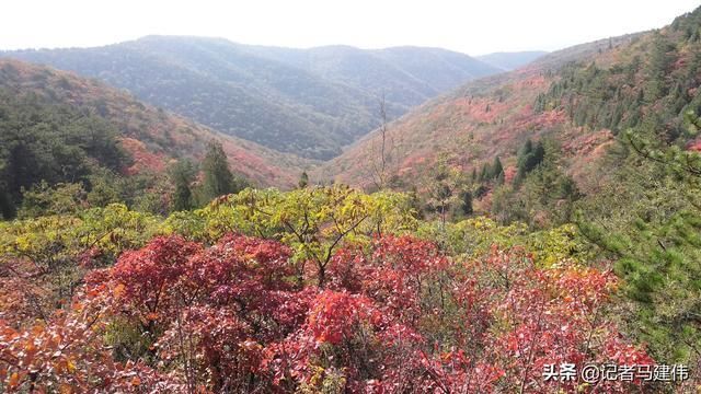 11月初适合焦作人游玩的6个地方，太行山红叶最为受宠