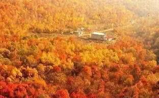 全国赏秋排行榜，江西庐山只排名第四，排名第一的是哪个景区呢？