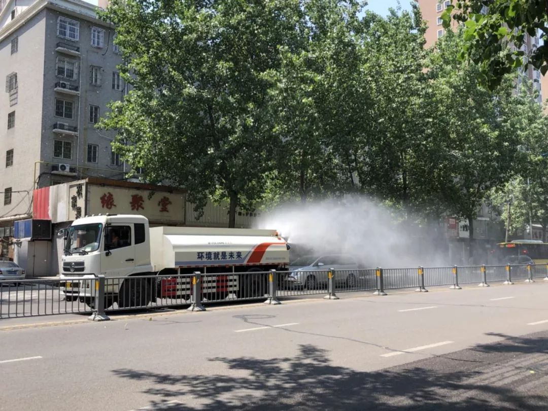 又到杨柳絮纷飞时!合肥杨树将全部伐除?为何种