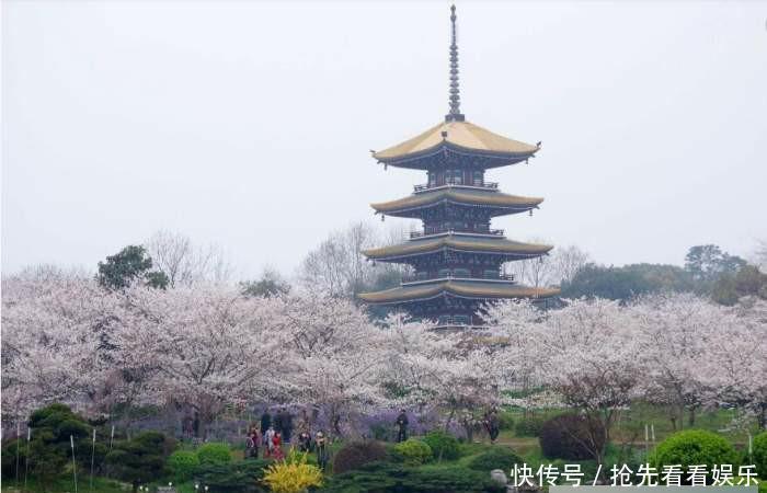 这条高铁路线, 350公里／小时, 途径9个站点, 预计2021年全线建成