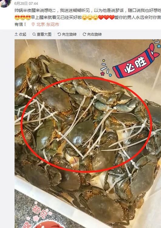 叶璇怀孕想吃螃蟹，老公实力宠妻买了一箱，网友的一句话扎心了!