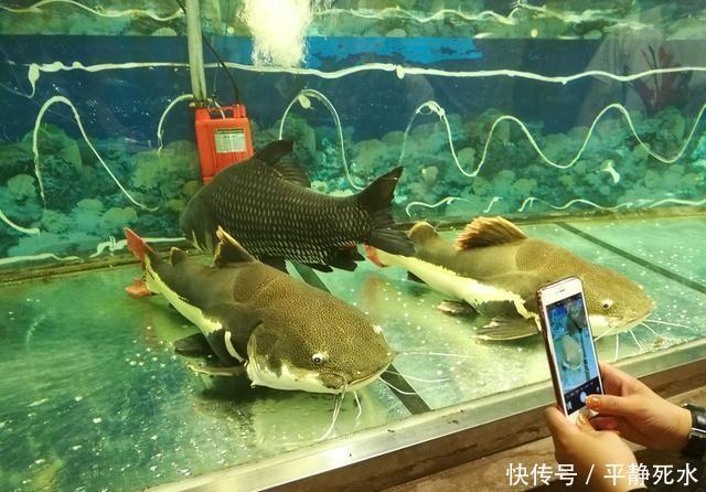 1000元人民币在越南, 到底可以花多久?