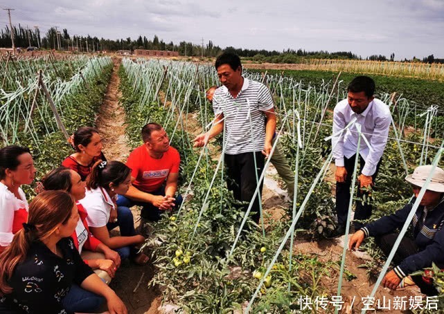 耕地荒废3年会被无偿回收，闲置宅基地也“连坐”，真的吗？