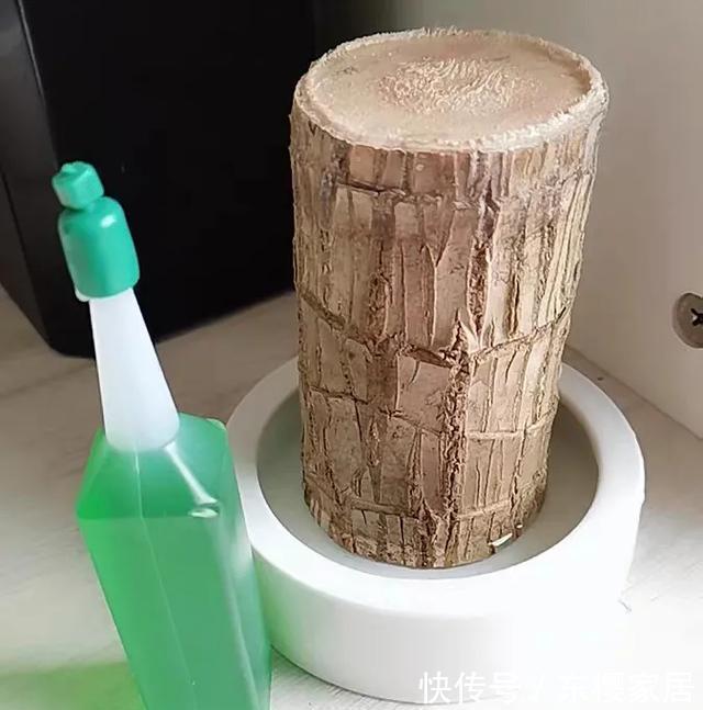 #试试#养不好的花,试试无土水培,几天长出大白根,还能开花呢!