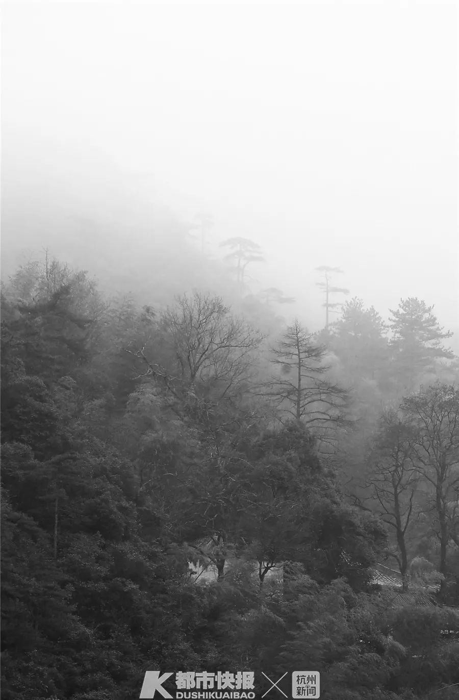 人肉亲测：1个多小时高铁到黄山北，大巴再到黄山景区，1小时14分