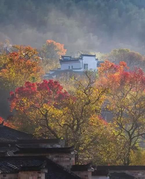 比婺源美10倍！这座徽州小村，秋天美成仙境