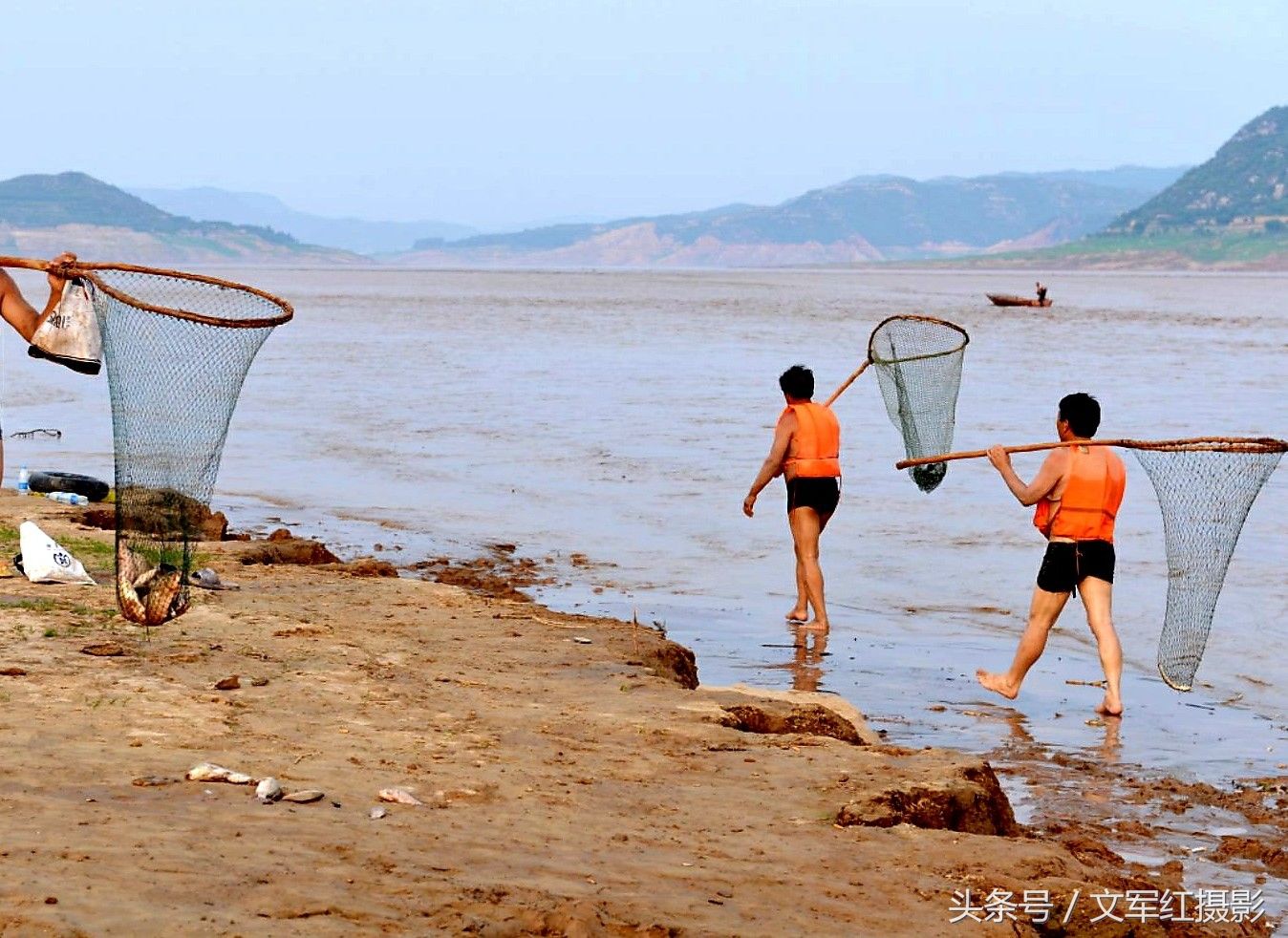 又是一年汛期到 又是一年流鱼跳 黄河岸边真热闹 浑水捞鱼兴致高