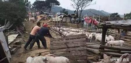 下半年, “失业潮”将来袭, 这3点让农民找工作难上加难, 咋办