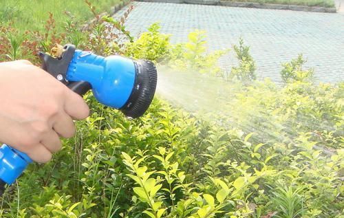  [中午或者午]什么时候给植物浇水好，浇水要注意什么？