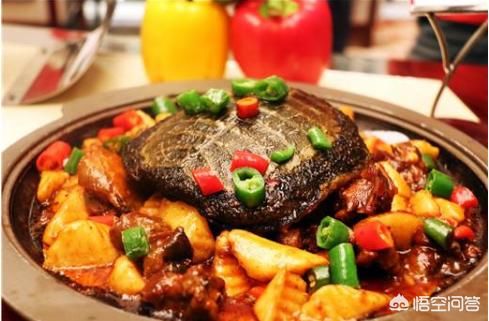 泗洪市民捕获26.6斤野生甲鱼，没人收购将放生, 你怎么看？