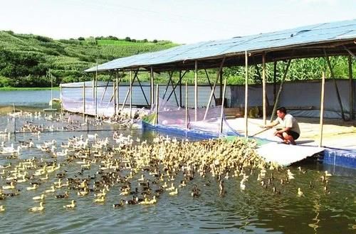  严惩@农村“3查行动”开启，这3种违规行为，一个也不会落下，抓