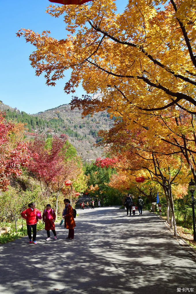 红遍万山的红叶谷【2020热门旅游景点】