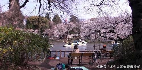 终于知道为什么都喜欢去日本, 中国游客去日本, 拍到这样画面