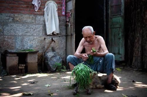 为什么60岁的农村老人还要外出打工？老农民说了3句话让人心痛！