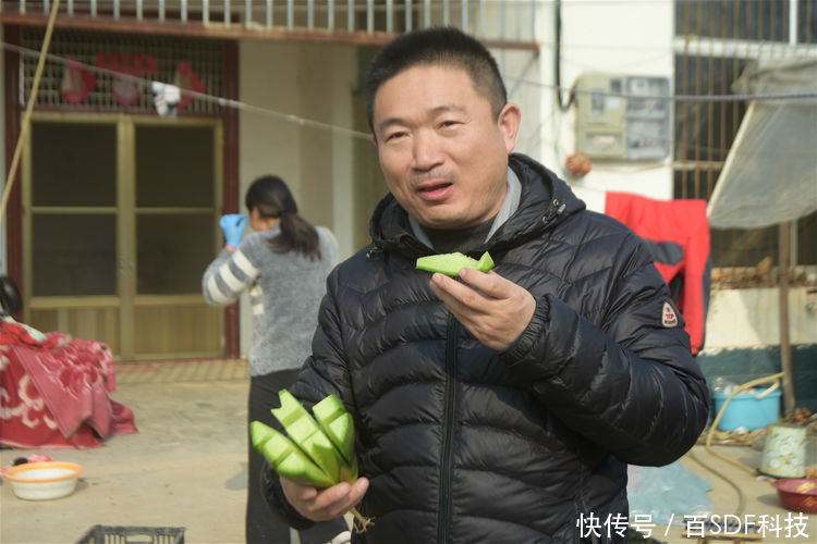  王大哥@农民种植大棚萝卜，4亩创造出6万元效益，农业专家功不可