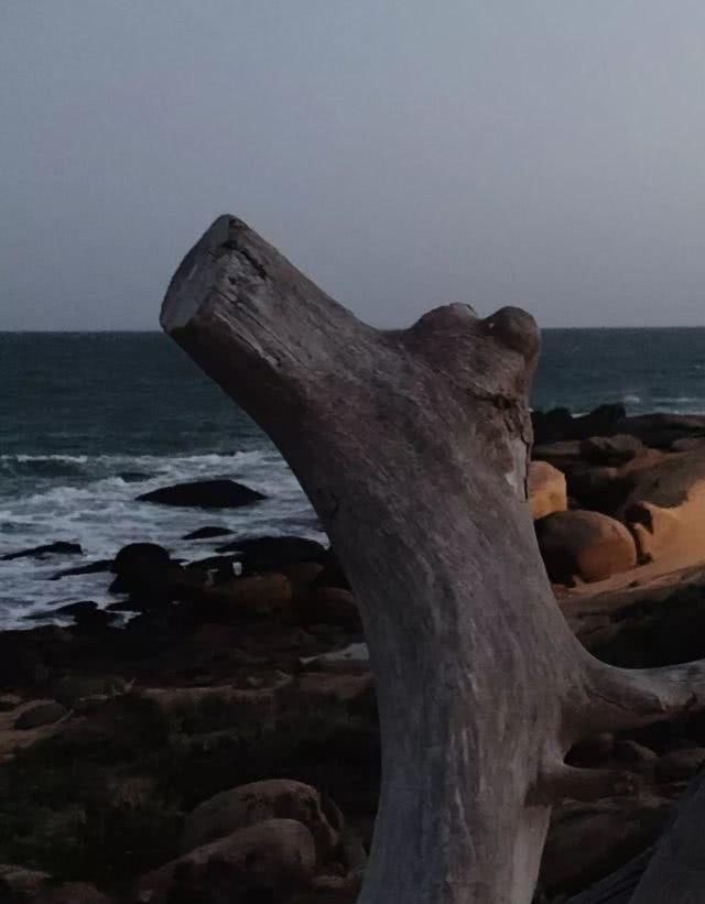 斯里兰卡 必做的十件事