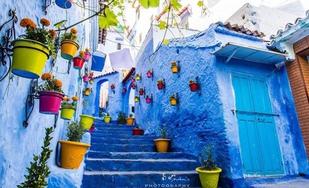 2019年最新免签名单｜中国国籍可免签去125个国家了