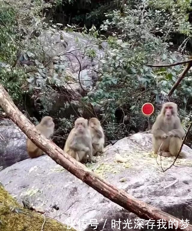 丽水有个隐藏在大山深处的世外桃源，带家人去走走吧