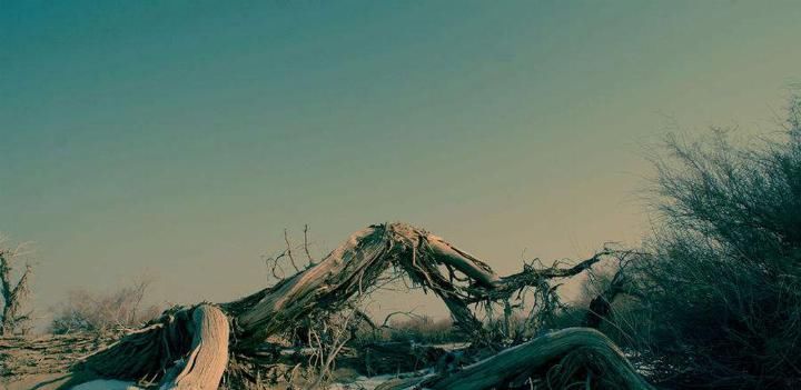 为啥西藏500公里的无人区千万不要去? 看看里面有什么, 太可怕