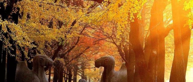 一入秋，中国这座绝美的古都终于要藏不住了，惊艳了整个中国！