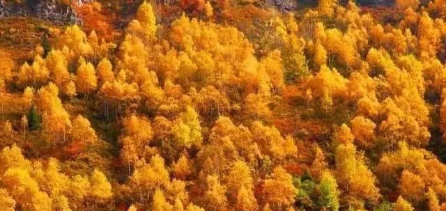 秋日里，山西20处绝美赏秋胜地美的像仙境