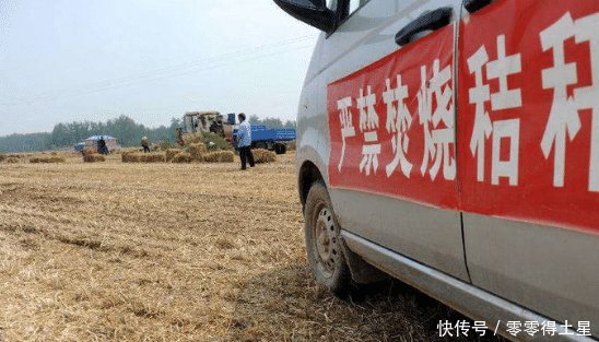 下半年将禁止这5种行为，违反将会受到处罚，农民最好了解一下