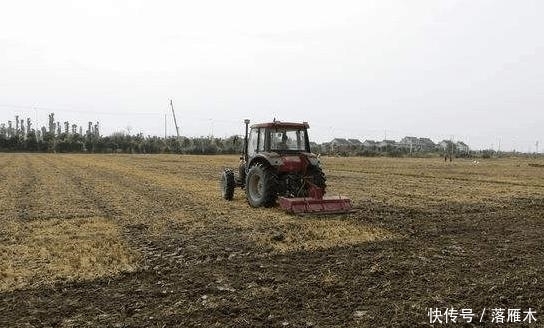 「显现」“秸秆还田”的弊端已经显现, 专家却默不作声, 农民也