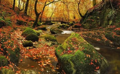 欧洲的秋天，真的不是童话！