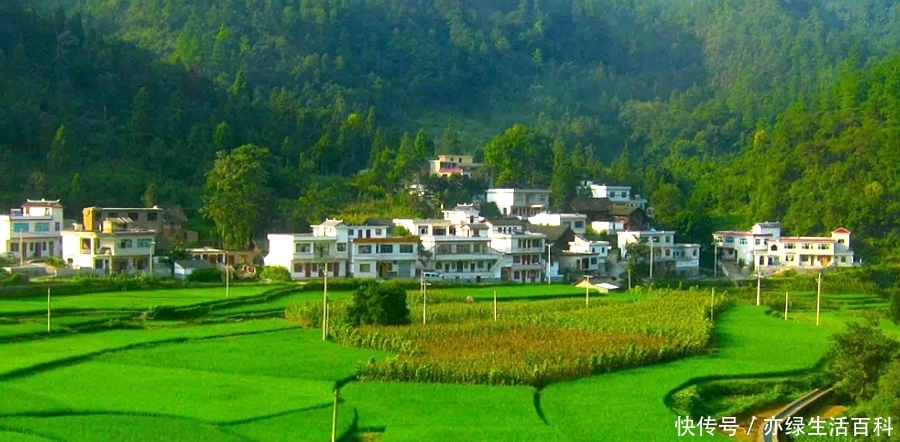 农业户口迟早取消，想保住土地权益，农民要抓紧办好这3件事！
