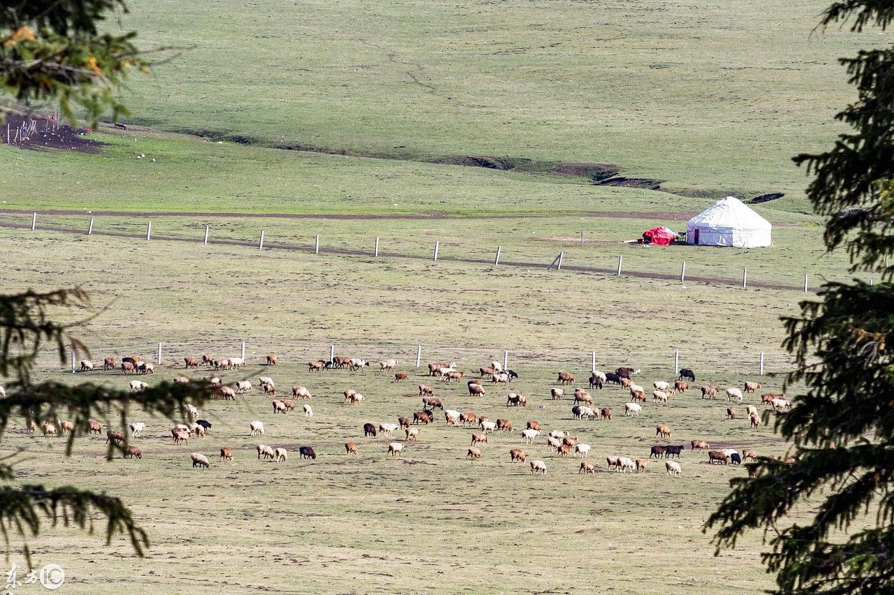 大草原上勾勒一幅草原美景