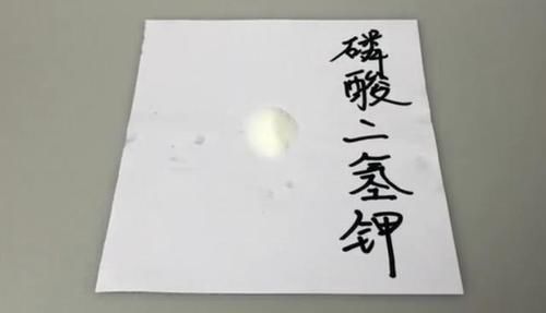  「浇花」磷酸二氢钾和淘米水，强强联合，变成复合肥，浇花养份足