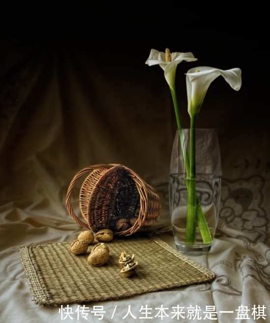 摄影师向美术致敬:静物唯美 而不做作