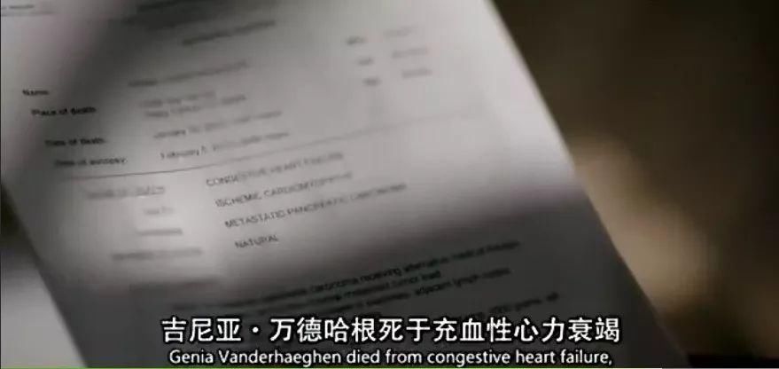 不吃肉就能瘦?BBC揭示健康饮食的真相，啪啪打脸无数网红