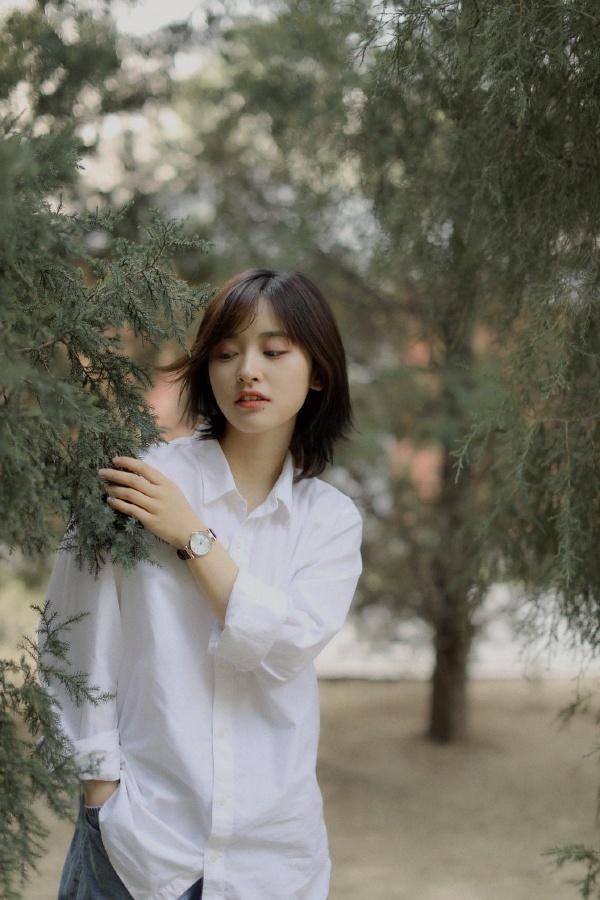 『不易』杨紫、毛不易、彭小苒、张新成、沈月、朱一龙、赵丽颖、张一山